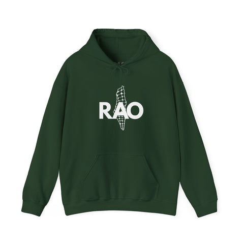 Unisex Heavy Blend™ Palestine RAO Map - Hooded Sweatshirt