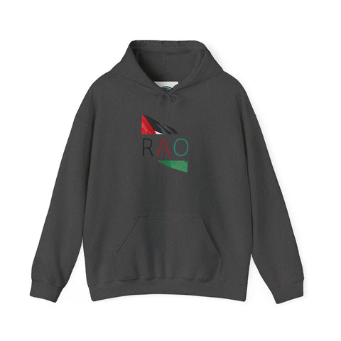 Stylish Unisex Hooded Sweatshirt with RAO Graphic, Cozy Pullover, Casual Gift, Streetwear, Everyday Wear, Unique Design