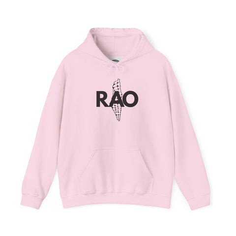 Cool Casual Unisex Sweatshirt with RAO Design, Cozy Gift for Friends, Trendy Hoodie, Perfect for All Occasions, Stylish Layering Piece