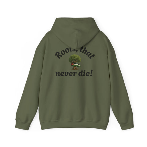 RAO Resistance Against Oppression Unisex Hoodie | Black RAO Letters with Palestinian Map & Flag Ribbon | Cultural Streetwear, Eco-Friendly Hoodie