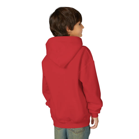 Palestinian Pride Youth Hoodie, Statement Sweatshirt, Gift for Activists, Casual Wear, Comfortable Streetwear, Cultural Expression