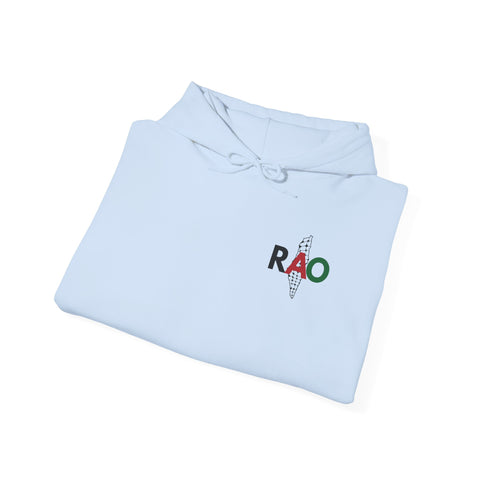 RAO Resistance Against Oppression Unisex Hoodie | Small Palestinian Map with RAO Flag Letters Design | Cultural Streetwear Sweatshirt