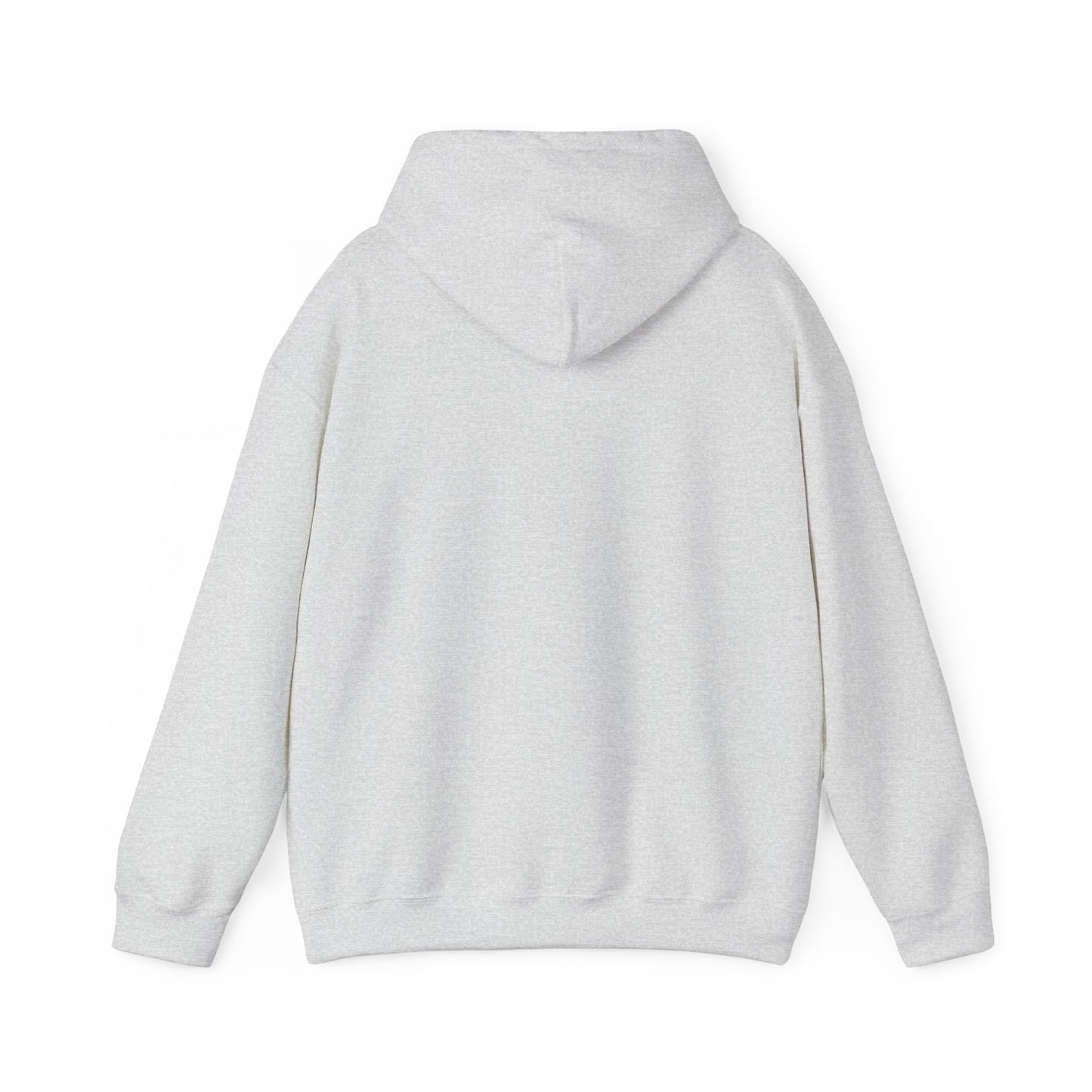 RAO Unisex Hoodie – Resistance Against Oppression Logo Sweatshirt