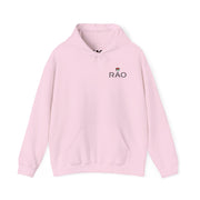 RAO Resistance Against Oppression Unisex Hoodie | Small Left Chest Logo with Palestinian Shield Flag & Map Design | Eco-Friendly Cultural Streetwear