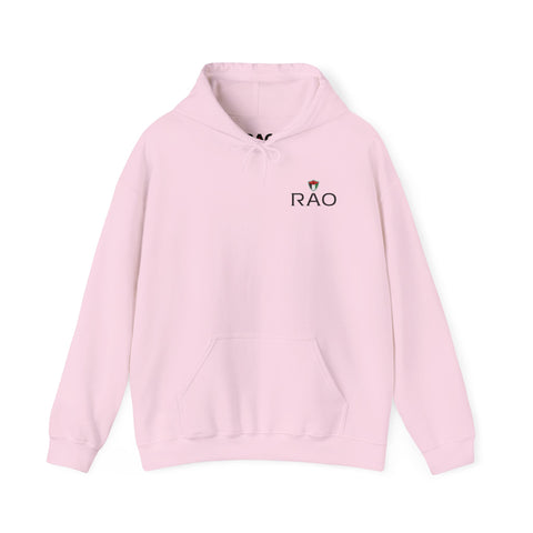 RAO Resistance Against Oppression Unisex Hoodie | Small Left Chest Logo with Palestinian Shield Flag & Map Design | Eco-Friendly Cultural Streetwear