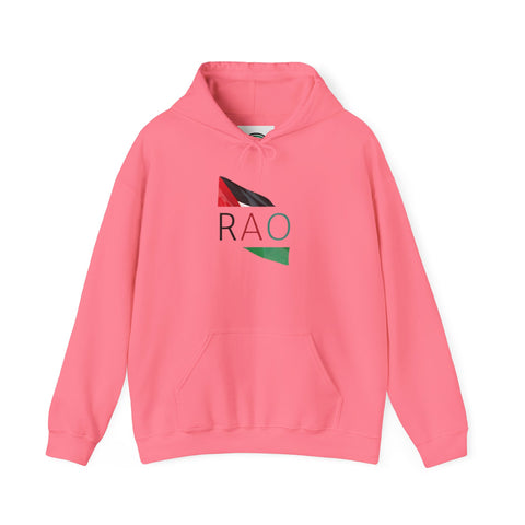 Stylish Unisex Hooded Sweatshirt with RAO Graphic, Cozy Pullover, Casual Gift, Streetwear, Everyday Wear, Unique Design