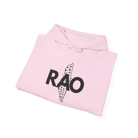 Cool Casual Unisex Sweatshirt with RAO Design, Cozy Gift for Friends, Trendy Hoodie, Perfect for All Occasions, Stylish Layering Piece