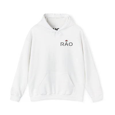 RAO Resistance Against Oppression Unisex Hoodie | Small Left Chest Logo with Palestinian Shield Flag & Map Design | Eco-Friendly Cultural Streetwear
