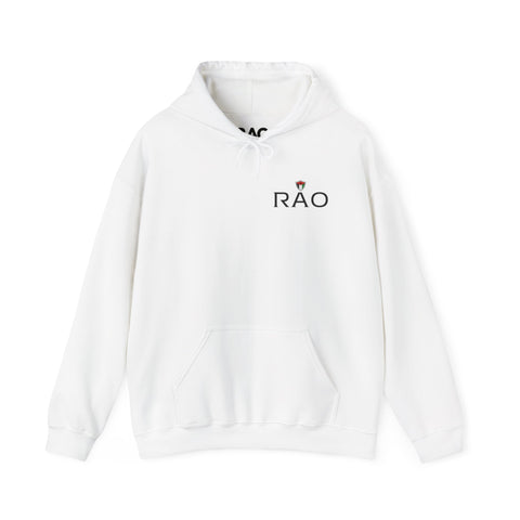 RAO Resistance Against Oppression Unisex Hoodie | Small Left Chest Logo with Palestinian Shield Flag & Map Design | Eco-Friendly Cultural Streetwear