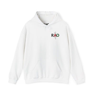 RAO Resistance Against Oppression Unisex Hoodie | Small Palestinian Map with RAO Flag Letters Design | Cultural Streetwear Sweatshirt