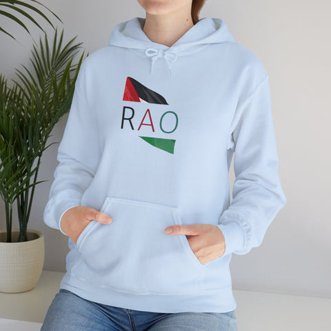 Stylish Unisex Hooded Sweatshirt with RAO Graphic, Cozy Pullover, Casual Gift, Streetwear, Everyday Wear, Unique Design