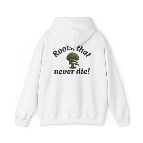 RAO Resistance Against Oppression Unisex Hoodie | Black RAO Letters with Palestinian Map & Flag Ribbon | Cultural Streetwear, Eco-Friendly Hoodie