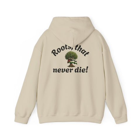 RAO Resistance Against Oppression Unisex Hoodie | Black RAO Letters with Palestinian Map & Flag Ribbon | Cultural Streetwear, Eco-Friendly Hoodie