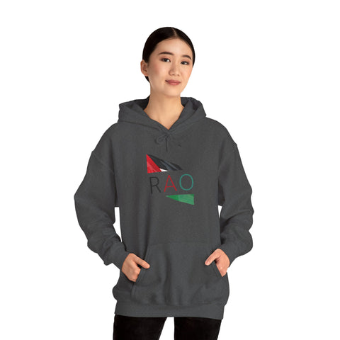 Stylish Unisex Hooded Sweatshirt with RAO Graphic, Cozy Pullover, Casual Gift, Streetwear, Everyday Wear, Unique Design
