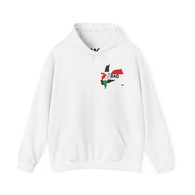 RAO Unity Hoodie: Palestine & Yemen Heavy Blend Hooded Sweatshirt