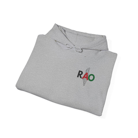 RAO Resistance Against Oppression Unisex Hoodie | Small Palestinian Map with RAO Flag Letters Design | Cultural Streetwear Sweatshirt