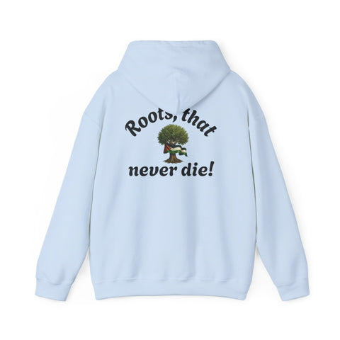 RAO Resistance Against Oppression Unisex Hoodie | Black RAO Letters with Palestinian Map & Flag Ribbon | Cultural Streetwear, Eco-Friendly Hoodie