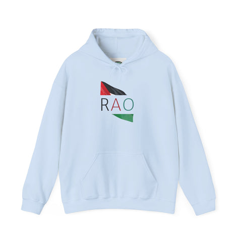 Stylish Unisex Hooded Sweatshirt with RAO Graphic, Cozy Pullover, Casual Gift, Streetwear, Everyday Wear, Unique Design