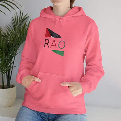Stylish Unisex Hooded Sweatshirt with RAO Graphic, Cozy Pullover, Casual Gift, Streetwear, Everyday Wear, Unique Design