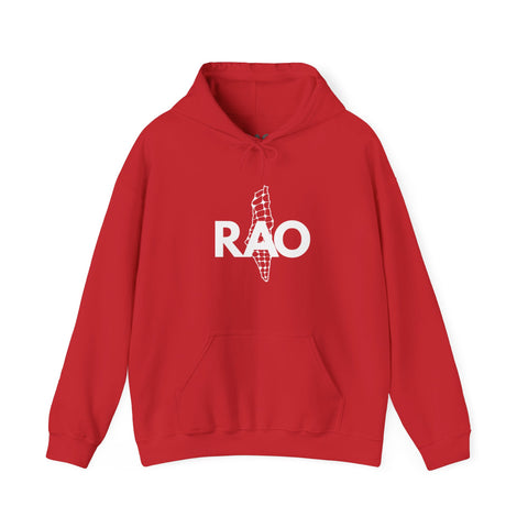 Unisex Heavy Blend™ Palestine RAO Map - Hooded Sweatshirt