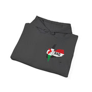 RAO Unity Hoodie: Palestine & Yemen Heavy Blend Hooded Sweatshirt