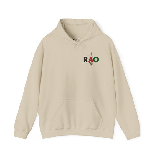 Palestine Hoodie – RAO Palestinian Map Unisex Sweatshirt | Minimalist Palestinian Heritage Streetwear