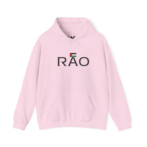 RAO Resistance Against Oppression Unisex Hoodie | Center Chest Design with Horizontal Palestinian Flag & RAO Letters | Bold Streetwear Statement