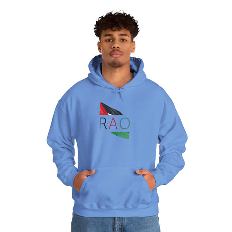 Stylish Unisex Hooded Sweatshirt with RAO Graphic, Cozy Pullover, Casual Gift, Streetwear, Everyday Wear, Unique Design