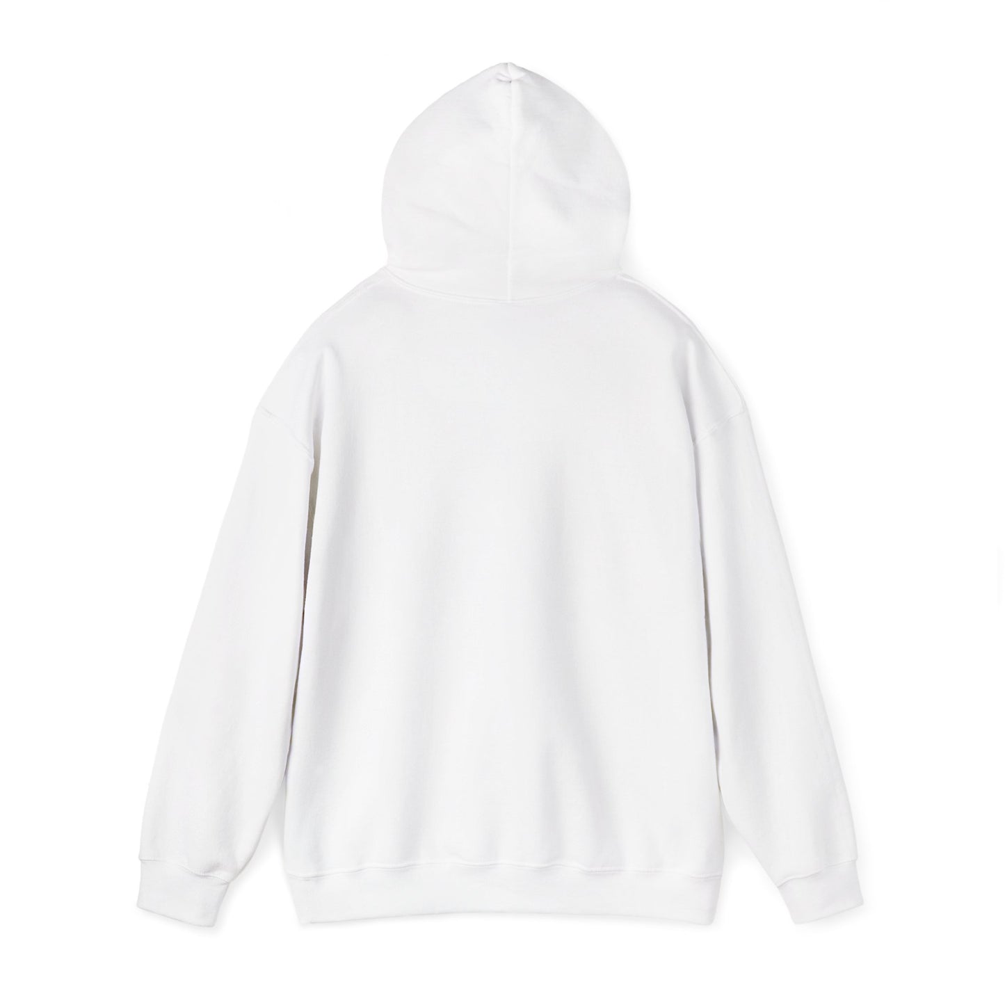 Palestine Hoodie – RAO Palestinian Map Unisex Sweatshirt | Minimalist Palestinian Heritage Streetwear