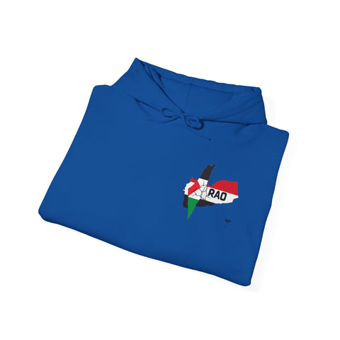 RAO Unity Hoodie: Palestine & Yemen Heavy Blend Hooded Sweatshirt