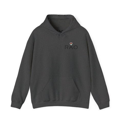 RAO Resistance Against Oppression Unisex Hoodie | Small Left Chest Logo with Palestinian Shield Flag & Map Design | Eco-Friendly Cultural Streetwear