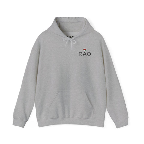 RAO Resistance Against Oppression Unisex Hoodie | Small Left Chest Logo with Palestinian Shield Flag & Map Design | Eco-Friendly Cultural Streetwear