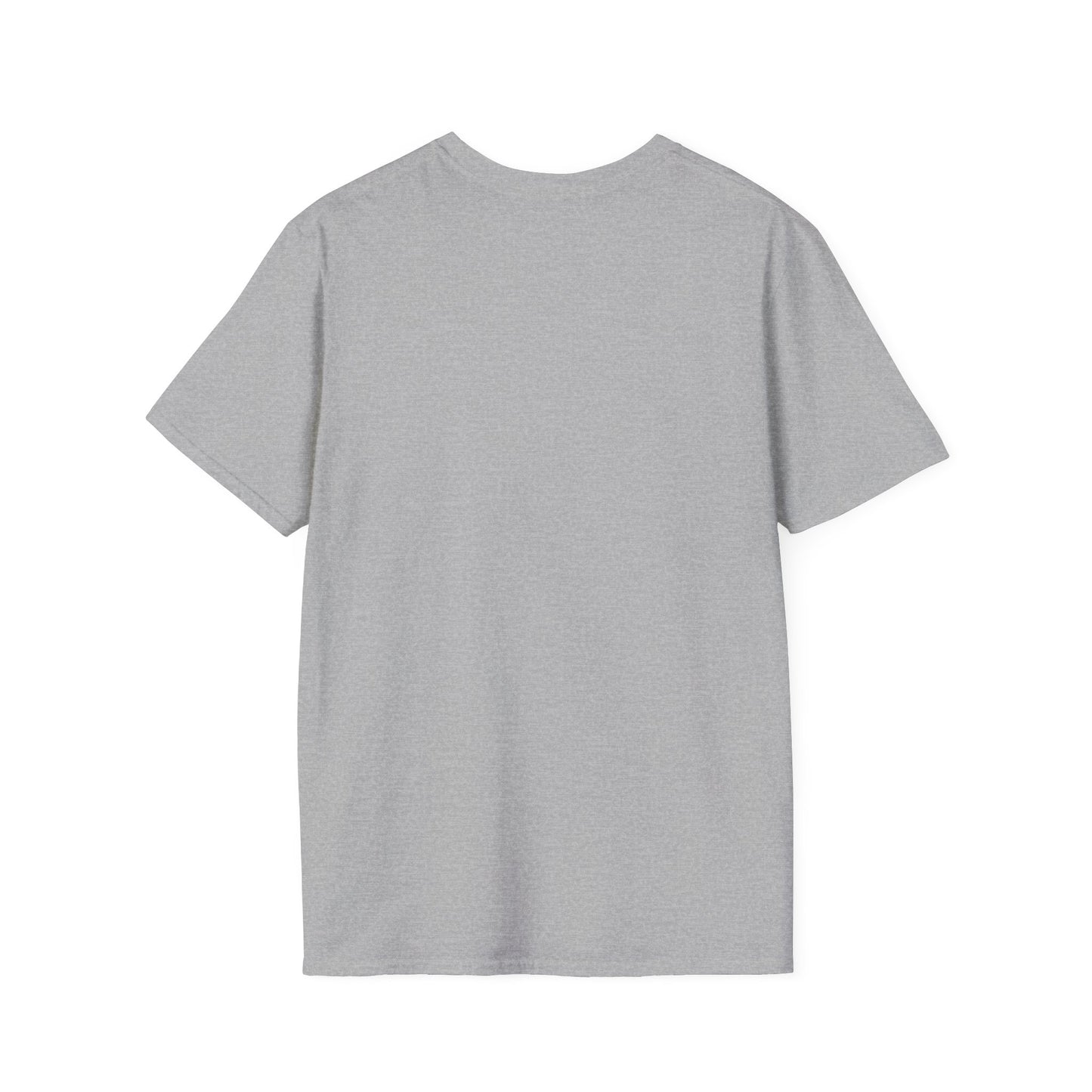Palestine Map T-Shirt | Palestine Flag RAO Logo Tee