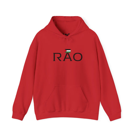 RAO Resistance Against Oppression Unisex Hoodie | Center Chest Design with Horizontal Palestinian Flag & RAO Letters | Bold Streetwear Statement