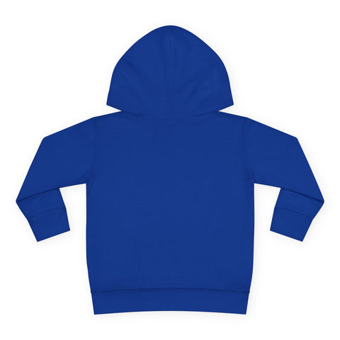 Toddler Hoodie with RAO Design, Cozy Pullover, Kids Casual Wear, Baby Shower Gift, Everyday Fashion