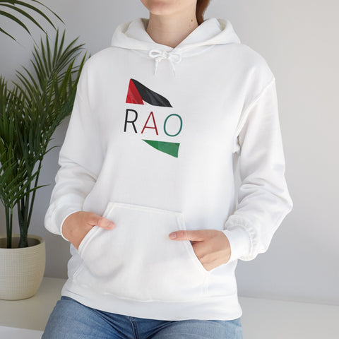 Stylish Unisex Hooded Sweatshirt with RAO Graphic, Cozy Pullover, Casual Gift, Streetwear, Everyday Wear, Unique Design