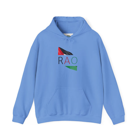 Stylish Unisex Hooded Sweatshirt with RAO Graphic, Cozy Pullover, Casual Gift, Streetwear, Everyday Wear, Unique Design