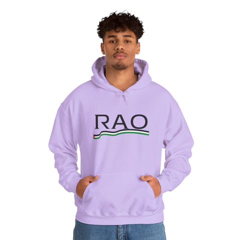 RAO Resistance Against Oppression Unisex Hoodie | Black RAO Letters with Palestinian Map & Flag Ribbon | Cultural Streetwear, Eco-Friendly Hoodie