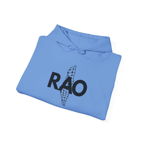 Cool Casual Unisex Sweatshirt with RAO Design, Cozy Gift for Friends, Trendy Hoodie, Perfect for All Occasions, Stylish Layering Piece